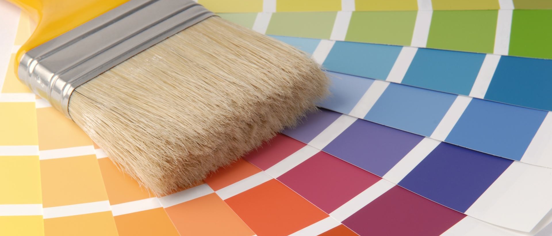 Painter SW6